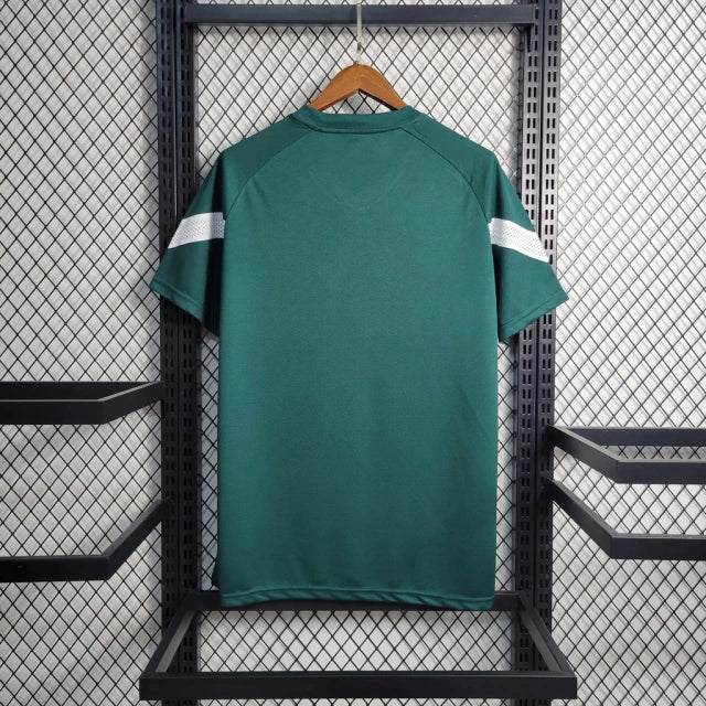 Camisa Palmeiras Treino 23/24 Torcedor Puma Masculina - Verde